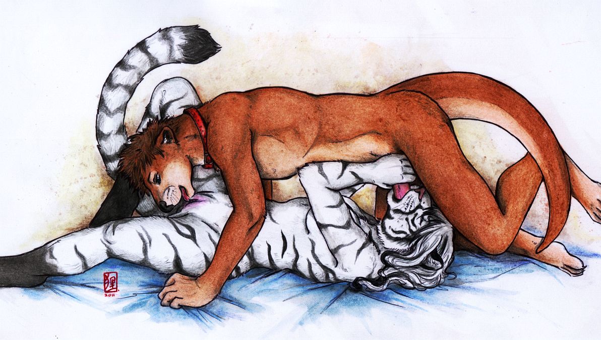 2011 69_position anthro breasts collar cunnilingus duo e621 erection felid fellatio female fur genitals licking lying male male/female mammal mustelid nude on_back oral otter pantherine penile penis sex simple_background tail tanutanuki tiger tongue tongue_out vaginal vulva white_background white_body white_fur