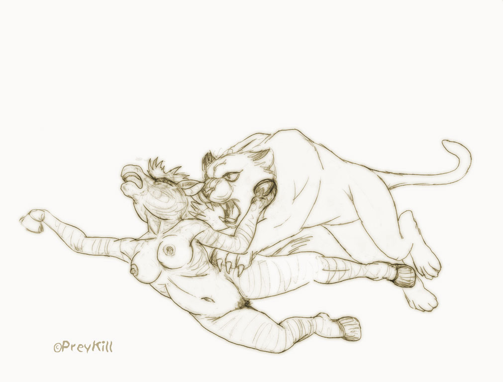 anthro attacked breasts claws cougar duo e621 equid equine falling fangs felid feline female feral hooves imminent_danger mammal mane nipples nude open_mouth pounce predator/prey preykill pubes scared sharp_teeth simple_background sketch stripes tail teeth white_background zebra