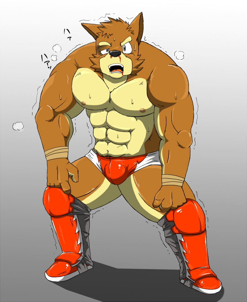 anthro biceps big_muscles blood bodily_fluids boots bulge canid canine canis clothed clothing domestic_dog e621 footwear kenta_shiba_(character) male mammal muscular muscular_anthro muscular_male nipples pecs shiba-kenta shoes solo topless wrestler wrestling_briefs