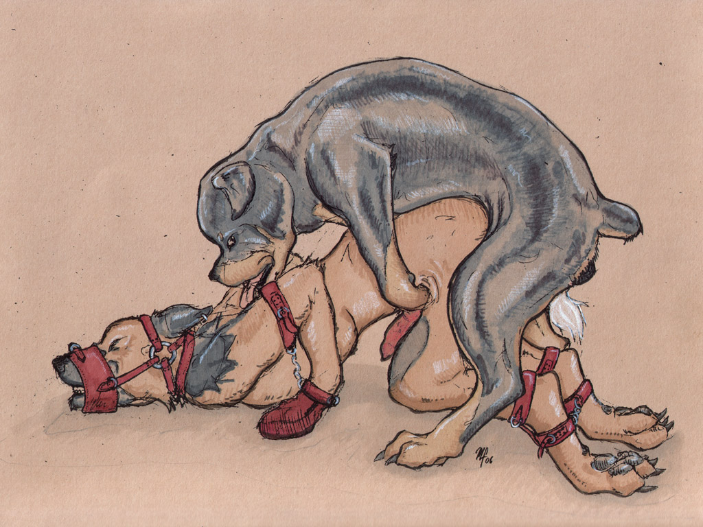 4:3 anal anal_penetration animal_genitalia animal_penis anthro anthro_on_feral anthro_penetrated bdsm bestiality bondage bound canid canine canine_genitalia canine_penis dominant dominant_male duo e621 erection feral feral_penetrating feral_penetrating_anthro from_behind_position fully_bound genitals interspecies intraspecies intraspecies_bestiality knot male male/male male_on_anthro male_on_feral male_penetrated male_penetrating male_penetrating_male mammal mounting mulefoot muzzle_(object) muzzled nude penetration penis sex submissive submissive_male wallpaper
