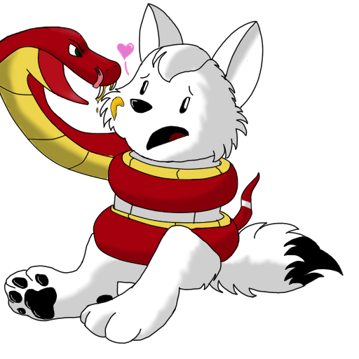 1:1 2012 ambiguous_gender anthro awangarde bite canid canine canis coiling domestic_dog duo e621 feral husky mammal nordic_sled_dog poison reptile scalie scared simple_background snake spitz tail teeth venom white_background