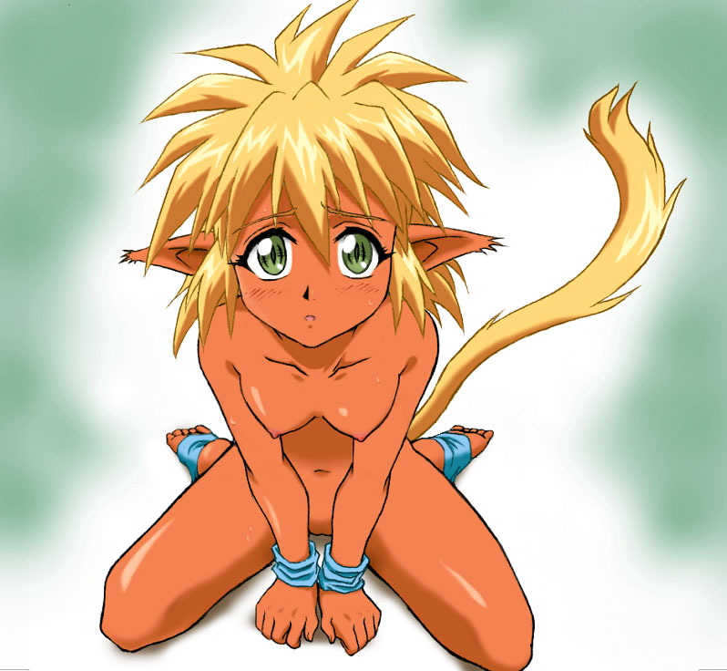 animal_ears blonde_hair blush breasts fam female green_eyes kneeling navel nipples nude pussy ruin_explorers rule34 tail toeless_heeless_socks wristband