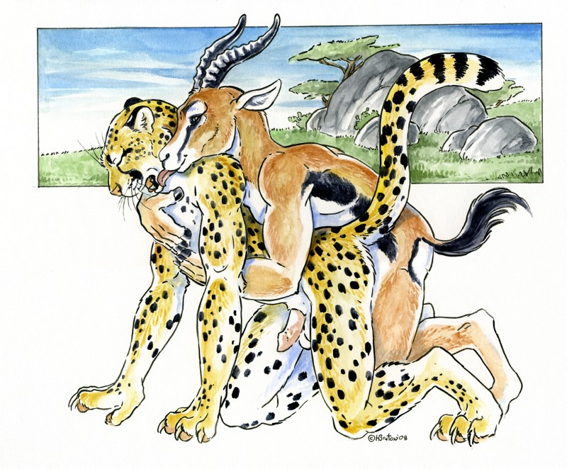 2008 all_fours anal anal_penetration antelope anthro anthro_on_anthro balls bovid cheetah claws doggystyle duo e621 erection eyes_closed felid feline from_behind_position gazelle genitals heather_bruton hooves interspecies licking male male/male male_penetrated male_penetrating male_penetrating_male mammal nude penetration penile penile_penetration penis penis_in_ass predator/prey predator_penetrated prey_penetrating prey_penetrating_predator role_reversal sex tail thomson's_gazelle tongue tongue_out true_antelope