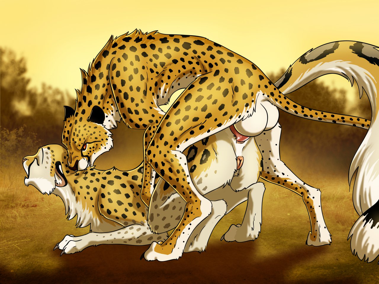 2013 4:3 all_fours anal anal_penetration anus ass_up backsack balls big_balls bite biting_another biting_partner cheetah doggystyle duo e621 erection eyes_closed felid feline female female_penetrated feral feral_on_feral from_behind_position genitals hyper intraspecies jasiri jocarra male male/female male_penetrating male_penetrating_female mammal mia_(hotwert) neck_bite nude outside penetration penis scruff_bite sex tail vulva
