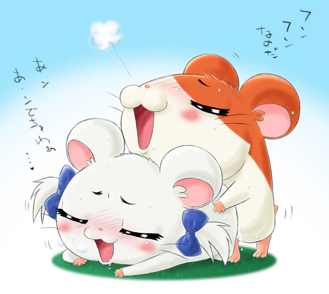 bijou_(hamtaro) cricetid duo e621 female feral feral_on_feral hamster hamtaro hamtaro_(series) japanese_text male male/female mammal ribbons rodent text translation_request unknown_artist