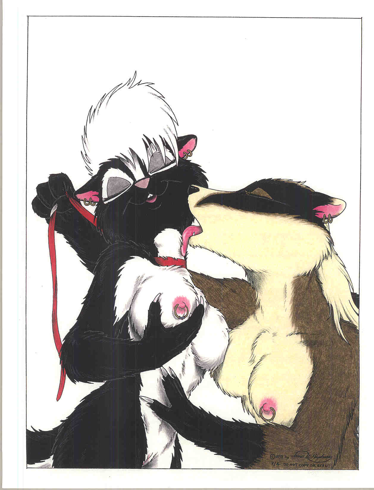 anthro badger bdsm breast_squish breasts breasts_frottage claws collar dinah_(jmh) dominant dominant_female duo e621 ear_piercing eyes_closed female female/female genitals hi_res james_m_hardiman leash licking mammal mephitid mustelid musteline nipple_piercing nipples nude onyx_(jmh) piercing simple_background skunk smile squish strapped_in submissive submissive_female tongue tongue_out vulva white_background