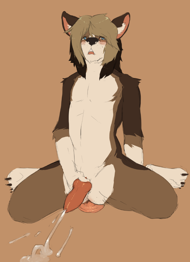 anal anal_masturbation anal_penetration anthro anus biped black_nose blue_eyes blush bodily_fluids brown_body brown_fur brown_hair canid canine canis cum cumshot dildo dildo_sitting domestic_dog e621 ejaculation erection fur genital_fluids genitals hair herding_dog holding_knot holding_own_knot holding_own_penis holding_penis knot male mammal masturbation nude orgasm pastoral_dog paws penetration penis sex_toy simple_background solo tatsumichi toying_self welsh_corgi