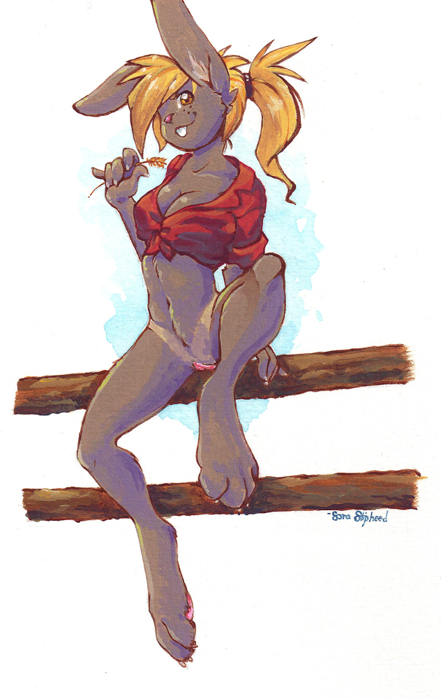 2012 anthro blonde_hair bottomless clothed clothing e621 female fence fur genitals grey_body grey_fur hair lagomorph leporid mammal on_fence rabbit solo soraslipheed vulva