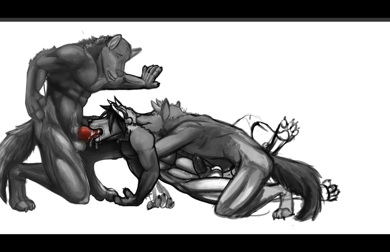 2012 abs anal anal_penetration animal_genitalia animal_penis anthro balls biceps black_bars canid canine canine_genitalia canine_penis canis double_penetration e621 erection fellatio fur genitals group group_sex knot letterbox male male/male male_penetrated male_penetrating male_penetrating_male mammal monochrome muscular nude oral oral_penetration pecs penetration penile penis red_penis rousk_(artist) sex sheath spitroast spot_color threesome trio wolf