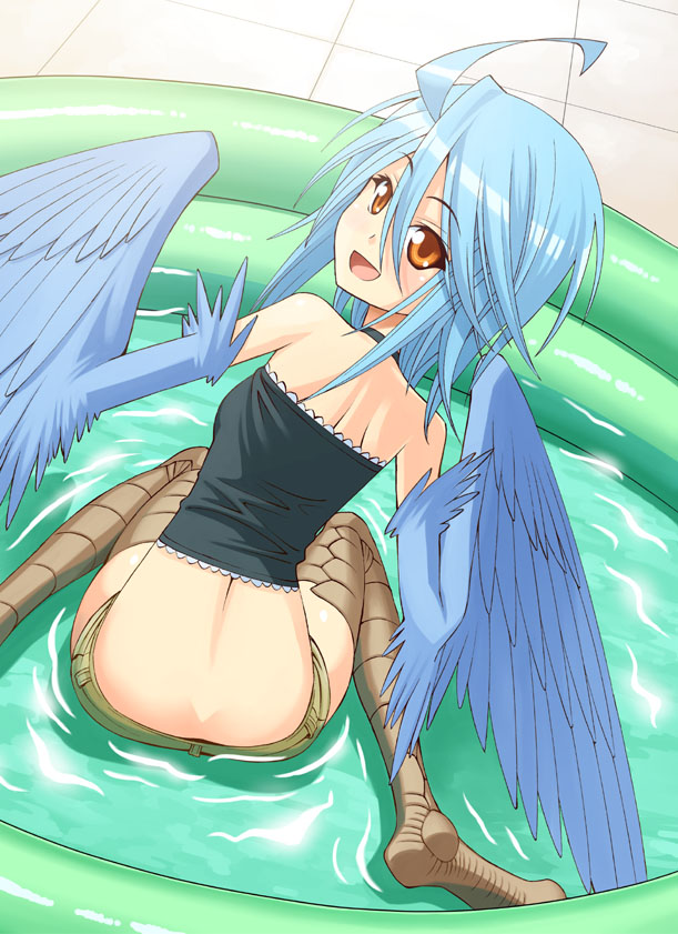 ahoge antenna_hair avian black_clothing black_topwear blue_body blue_feathers blue_hair bottomwear breasts brown_eyes choker clothing day digital_media_(artwork) dutch_angle e621 european_mythology feathered_wings feathers feet female greek_mythology hair halter_top halterneck harpy humanoid jewelry kiddie_pool lace looking_back monster_girl_(genre) monster_musume mythological_avian mythological_creature mythology necklace official_art okayado open_mouth open_smile orange_eyes outside papi_(monster_musume) portrait rear_view shirt short_hair shorts sitting slim small_breasts smile soles solo sunny swimming_pool tan_bottomwear tan_clothing three-quarter_portrait topwear tube_top wariza water wet winged_humanoid wings