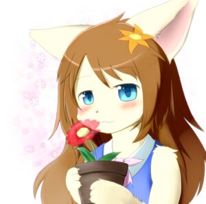Rating: Safe Score: 0 Tags: anthro blue_eyes blush brown_hair canid canine clothed clothing e621 female flower fox hair holding_flower holding_object long_hair looking_at_viewer mammal plant plant_pot potted_plant solo だんれぼ User: bunchy7s