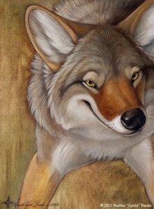 Rating: Safe Score: 0 Tags: 2003 abstract_background ambiguous_gender black_nose canid canine canis coyote e621 feral fur grey_body grey_fur inner_ear_fluff kyoht_luterman mammal multicolored_body multicolored_fur quadruped simple_background smile solo tan_eyes tuft white_inner_ear_fluff User: bunchy7s Rating: Safe Score: 0 Tags: 2003 abstract_background ambiguous_gender black_nose canid canine canis coyote e621 feral fur grey_body grey_fur inner_ear_fluff kyoht_luterman mammal multicolored_body multicolored_fur quadruped simple_background smile solo tan_eyes tuft white_inner_ear_fluff User: bunchy7s