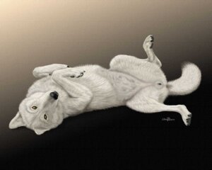 Rating: Explicit Score: 0 Tags: 5:4 anatomically_correct anatomically_correct_genitalia anatomically_correct_vulva animal_genitalia animal_vulva arctic_wolf canid canine canine_genitalia canine_vulva canis e621 ebon_lupus female feral genitals lying mammal on_back photorealism realistic solo tail vulva wolf User: bunchy7s
