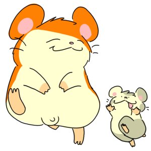 Rating: Explicit Score: 0 Tags: 2boys ambiguous_gender artist_request cute feral hamster hamtaro hamtaro_(series) happy male male/ambiguous oxnard_(hamtaro) penis rule34 tagme User: bunchy7s Rating: Explicit Score: 0 Tags: 2boys ambiguous_gender artist_request cute feral hamster hamtaro hamtaro_(series) happy male male/ambiguous oxnard_(hamtaro) penis rule34 tagme User: bunchy7s