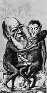 Rating: Explicit Score: 0 Tags: 2boys beard bestiality black_and_white charles_darwin haplorhine human_face male male_only monkey monkey_feet monochrome palm_tree penis penises_touching prehensile_feet primate public_domain real_person rule34 satire User: bunchy7s