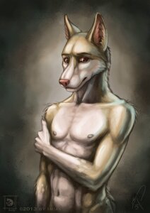 Rating: Safe Score: 0 Tags: 2013 5_fingers abs anthro athletic athletic_anthro athletic_male canid canine canis claws collarbone dingo e621 fingers front_view fur gloves_(marking) half-length_portrait holding_arm imiak inner_ear_fluff looking_at_viewer male mammal markings navel nipples nude peachez pecs pink_body pink_eyes pink_fur pink_nose portrait pose shy solo tan_body tan_fur tuft v-cut User: bunchy7s Rating: Safe Score: 0 Tags: 2013 5_fingers abs anthro athletic athletic_anthro athletic_male canid canine canis claws collarbone dingo e621 fingers front_view fur gloves_(marking) half-length_portrait holding_arm imiak inner_ear_fluff looking_at_viewer male mammal markings navel nipples nude peachez pecs pink_body pink_eyes pink_fur pink_nose portrait pose shy solo tan_body tan_fur tuft v-cut User: bunchy7s