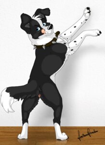 Rating: Explicit Score: 0 Tags: anatomically_correct anatomically_correct_genitalia anatomically_correct_vulva animal_genitalia animal_vulva blue_eyes border_collie canid canine canine_genitalia canine_vulva canis claws collie dewclaw digitigrade domestic_dog e621 faithandfreedom feet female feral floor genitals herding_dog hi_res looking_at_viewer mammal pastoral_dog sheepdog solo spikes spots tail toes tongue vulva User: bunchy7s