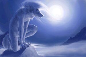 Rating: Safe Score: 0 Tags: 3:2 anthro aryte blue_eyes canid canine canis cool_colors crouching detailed_background digitigrade e621 fur hair hibbary male mammal moon night outside sky snow solo tail white_body white_fur white_hair winter wolf User: bunchy7s Rating: Safe Score: 0 Tags: 3:2 anthro aryte blue_eyes canid canine canis cool_colors crouching detailed_background digitigrade e621 fur hair hibbary male mammal moon night outside sky snow solo tail white_body white_fur white_hair winter wolf User: bunchy7s