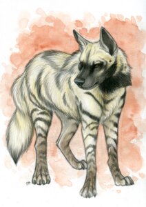 Rating: Safe Score: 0 Tags: 2012 ambiguous_gender black_body black_fur brown_eyes digitigrade e621 feral fur hyena korrok mammal quadruped solo standing striped_hyena stripes tail tan_body tan_fur User: bunchy7s