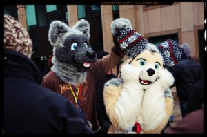 Rating: Safe Score: 0 Tags: anthro blue_eyes canid canine canis clothing costume domestic_dog e621 fursuit grandfathered_content group hat headgear headwear male mammal real unknown_artist wolf User: bunchy7s Rating: Safe Score: 0 Tags: anthro blue_eyes canid canine canis clothing costume domestic_dog e621 fursuit grandfathered_content group hat headgear headwear male mammal real unknown_artist wolf User: bunchy7s