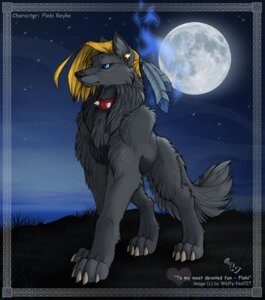 Rating: Safe Score: 0 Tags: 2007 blue_eyes canid canine canis collar digital_media_(artwork) digitigrade e621 female feral fleki_(character) mammal night outside quadruped sky solo star starry_sky tail wolf wolfy-nail User: bunchy7s Rating: Safe Score: 0 Tags: 2007 blue_eyes canid canine canis collar digital_media_(artwork) digitigrade e621 female feral fleki_(character) mammal night outside quadruped sky solo star starry_sky tail wolf wolfy-nail User: bunchy7s