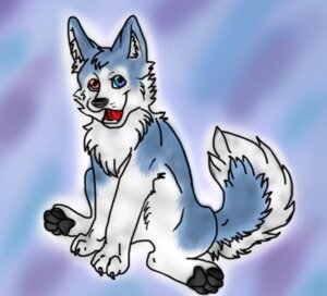 Rating: Safe Score: 0 Tags: ambiguous_gender blue_body blue_eyes blue_fur canid canine canis domestic_dog e621 feral fur heterochromia husky mammal nordic_sled_dog purra red_eyes solo spitz tail User: bunchy7s