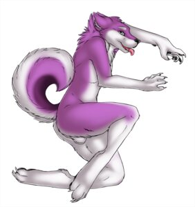 Rating: Explicit Score: 0 Tags: 1boy 2008 anthro balls bushy_tail canine claws fluffy fur furry hindpaw husky looking_at_viewer lying male male_only nude on_side paws playful purple purple_eyes rule34 solo spottyjaguar tail tongue white_background white_fur User: bunchy7s