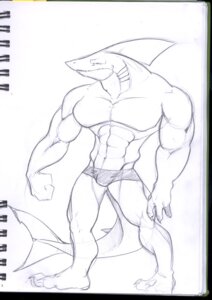 Rating: Safe Score: 0 Tags: anthro aquatic biped bulge claws clothed clothing dorsal_fin e621 fangs fin fish gills lizardbeth looking_at_viewer male monochrome muscular muscular_anthro muscular_male shark sketch skimpy solo speedo standing swimwear tail teeth User: bunchy7s Rating: Safe Score: 0 Tags: anthro aquatic biped bulge claws clothed clothing dorsal_fin e621 fangs fin fish gills lizardbeth looking_at_viewer male monochrome muscular muscular_anthro muscular_male shark sketch skimpy solo speedo standing swimwear tail teeth User: bunchy7s
