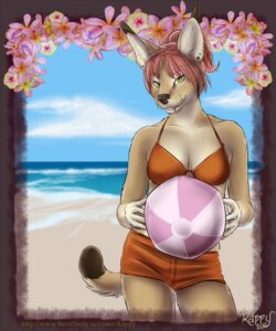 Rating: Questionable Score: 0 Tags: 2010 anthro ball beach beach_ball canid canine clothing detailed_background e621 ear_piercing female flower holding_ball holding_object inflatable kappy mammal outside piercing plant pool_toy sand sea seaside sky solo swimwear tail water User: bunchy7s Rating: Questionable Score: 0 Tags: 2010 anthro ball beach beach_ball canid canine clothing detailed_background e621 ear_piercing female flower holding_ball holding_object inflatable kappy mammal outside piercing plant pool_toy sand sea seaside sky solo swimwear tail water User: bunchy7s