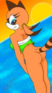 Rating: Questionable Score: 0 Tags: anthro blackcat blue_eyes bottomless breasts butt clothed clothing detailed_background e621 female mammal marine_the_raccoon outside pose procyonid raccoon sea seascape sega sky solo sonic_the_hedgehog_(series) tail toony water User: bunchy7s
