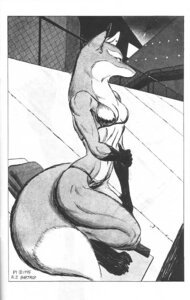 Rating: Safe Score: 0 Tags: 1995 5_fingers anthro barefoot bikini biped canid canine chain-link_fence clothed clothing dipstick_ears e621 ear_markings ear_piercing feet female fence fingers fluffy fluffy_tail fox gloves_(marking) holding_arm looking_aside mammal markings monochrome multicolored_ears on_roof outside pi_(zaibatsu_tears) piercing pose richard_bartrop rooftop side_view sitting skimpy solo swimwear tail two-piece_swimsuit zaibatsu_tears User: bunchy7s Rating: Safe Score: 0 Tags: 1995 5_fingers anthro barefoot bikini biped canid canine chain-link_fence clothed clothing dipstick_ears e621 ear_markings ear_piercing feet female fence fingers fluffy fluffy_tail fox gloves_(marking) holding_arm looking_aside mammal markings monochrome multicolored_ears on_roof outside pi_(zaibatsu_tears) piercing pose richard_bartrop rooftop side_view sitting skimpy solo swimwear tail two-piece_swimsuit zaibatsu_tears User: bunchy7s