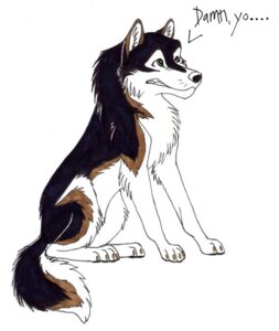 Rating: Safe Score: 0 Tags: 2003 canid canine canis caption chest_tuft claws domestic_dog e621 feral fur green_eyes husky male mammal monroe_(skee) nordic_sled_dog simple_background sitting skee solo spitz tail tuft whiskers white_background User: bunchy7s