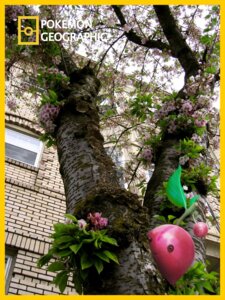 Rating: Safe Score: 0 Tags: 3:4 ambiguous_gender building cherubi e621 generation_4_pokemon house izzatakiwa national_geographic nintendo plant pokemon pokemon_(species) pokemon_geographic solo tree wood User: bunchy7s