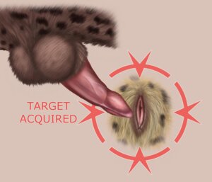 Rating: Explicit Score: 0 Tags: 2014 animal_genitalia animal_penis animal_vulva balls cheepard duo e621 english_text erection faceless_character faceless_female faceless_male felid feline_genitalia feline_penis feline_vulva female fur genitals humor imminent_sex leopard male male/female mammal pantherine penis simple_background target text vulva User: bunchy7s