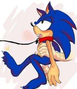 Rating: Explicit Score: 0 Tags: anal anthro balls barefoot bdsm blue_body blue_fur blue_hair blush bodily_fluids bondage bound cum duo e621 erection eulipotyphlan feet fur genital_fluids genitals green_eyes hair hedgehog leash male mammal penetration penis sega sex solo_focus sonic_the_hedgehog sonic_the_hedgehog_(series) tongue unknown_artist User: bunchy7s Rating: Explicit Score: 0 Tags: anal anthro balls barefoot bdsm blue_body blue_fur blue_hair blush bodily_fluids bondage bound cum duo e621 erection eulipotyphlan feet fur genital_fluids genitals green_eyes hair hedgehog leash male mammal penetration penis sega sex solo_focus sonic_the_hedgehog sonic_the_hedgehog_(series) tongue unknown_artist User: bunchy7s