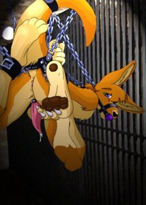 Rating: Explicit Score: 0 Tags: accessory anatomically_correct animal_genitalia animal_penis ankle_cuffs anthro anus backsack ball_gag balls balls_above_penis bdsm bodily_fluids bondage bound butt cock_ring cuff_(restraint) cum e621 erection feet fur gag gagged genital_fluids genitals halter harness harness_ball_gag harness_gag hindpaw jewelry kangaroo leather leather_cuffs macropod male mammal marsupial marsupial_penis muzzle_(object) muzzled nude paws penis penis_accessory penis_jewelry rear_view restraints solo soro submissive submissive_male suspension tail tapering_penis User: bunchy7s Rating: Explicit Score: 0 Tags: accessory anatomically_correct animal_genitalia animal_penis ankle_cuffs anthro anus backsack ball_gag balls balls_above_penis bdsm bodily_fluids bondage bound butt cock_ring cuff_(restraint) cum e621 erection feet fur gag gagged genital_fluids genitals halter harness harness_ball_gag harness_gag hindpaw jewelry kangaroo leather leather_cuffs macropod male mammal marsupial marsupial_penis muzzle_(object) muzzled nude paws penis penis_accessory penis_jewelry rear_view restraints solo soro submissive submissive_male suspension tail tapering_penis User: bunchy7s
