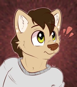 Rating: Safe Score: 0 Tags: 2014 anthro clothed clothing domestic_cat e621 felid feline felis fur hair hi_res kalven komdog male mammal simple_background solo User: bunchy7s