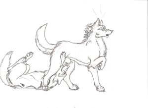 Rating: Explicit Score: 0 Tags: ambiguous_gender animal_genitalia canid canine canis duo e621 feral feral_on_feral genitals hi_res initiate iowa licking lying male mammal on_back penis penis_tip shadow sheath side_view tail tongue tongue_out wolf User: bunchy7s