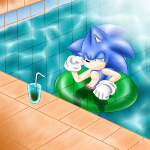 Rating: Safe Score: 0 Tags: 1:1 anthro blue_hair clothed clothing dullvivid e621 eulipotyphlan green_eyes hair hedgehog hi_res male mammal sega solo sonic_the_hedgehog sonic_the_hedgehog_(series) swimming_pool topless water User: bunchy7s Rating: Safe Score: 0 Tags: 1:1 anthro blue_hair clothed clothing dullvivid e621 eulipotyphlan green_eyes hair hedgehog hi_res male mammal sega solo sonic_the_hedgehog sonic_the_hedgehog_(series) swimming_pool topless water User: bunchy7s