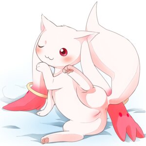 Rating: Explicit Score: 0 Tags: 1:1 :3 anus asukoji blush crossgender e621 feet female feral genitals hindpaw incubator_(puella_magi) kyubey long_inner_ear_fluff long_tail lying mammal on_model on_side one_eye_closed pawpads paws puella_magi puella_magi_madoka_magica red_eyes seductive simple_background solo tail toony vulva white_background wink User: bunchy7s Rating: Explicit Score: 0 Tags: 1:1 :3 anus asukoji blush crossgender e621 feet female feral genitals hindpaw incubator_(puella_magi) kyubey long_inner_ear_fluff long_tail lying mammal on_model on_side one_eye_closed pawpads paws puella_magi puella_magi_madoka_magica red_eyes seductive simple_background solo tail toony vulva white_background wink User: bunchy7s