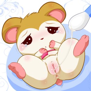 Rating: Explicit Score: 0 Tags: 1:1 2012 anthro anus biped bodily_fluids clitoris cotton_swab cricetid crying cum cum_in_vagina cum_inside cum_string e621 female forced genital_fluids genitals hamster hamtaro_(series) hi_res lying mammal maverick nude on_back pashmina_(hamtaro) q-tips rape rodent sex solo spread_legs spreading tears vaginal vulva young young_anthro User: bunchy7s