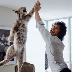 Rating: Safe Score: 0 Tags: 1:1 accessory ambiguous_gender andy_samberg clothing collared_shirt dress_shirt duo e621 felid feline feral gesture grandfathered_content hair happy high_five human looking_at_viewer low_res lynx mammal necktie on_one_leg open_mouth painting_(object) plushie real shirt smile standing topwear User: bunchy7s Rating: Safe Score: 0 Tags: 1:1 accessory ambiguous_gender andy_samberg clothing collared_shirt dress_shirt duo e621 felid feline feral gesture grandfathered_content hair happy high_five human looking_at_viewer low_res lynx mammal necktie on_one_leg open_mouth painting_(object) plushie real shirt smile standing topwear User: bunchy7s