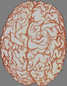 Rating: Explicit Score: 0 Tags: animated brain female male rule34 tagme User: bunchy7s Rating: Explicit Score: 0 Tags: animated brain female male rule34 tagme User: bunchy7s