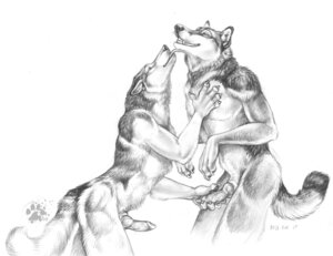 Rating: Explicit Score: 0 Tags: 2009 animal_genitalia animal_penis anthro blotch canid canine canine_genitalia canine_penis canis claws duo e621 english_text erection fur furry furry_only gay genitals graphite_(artwork) greyscale hand_on_chest knot licking looking_up male male/male mammal monochrome no_humans nude pawpads paws penis penis_grab rule34 scratches_volume_3 simple_background sketch tail text tongue tongue_out touching traditional_media_(artwork) vein veiny_penis white_background wolf User: bunchy7s