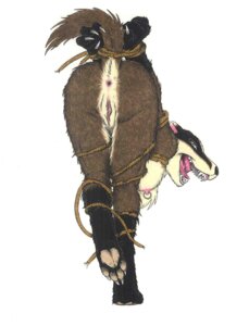 Rating: Explicit Score: 0 Tags: anthro anus badger bent_over bondage breasts female fur furry james_m_hardiman mammal mustelid nipples offering open_mouth piercing pussy rule34 tail User: bunchy7s Rating: Explicit Score: 0 Tags: anthro anus badger bent_over bondage breasts female fur furry james_m_hardiman mammal mustelid nipples offering open_mouth piercing pussy rule34 tail User: bunchy7s