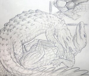Rating: Explicit Score: 0 Tags: 2012 anal anal_penetration anatomically_correct anatomically_correct_genitalia anatomically_correct_penis animal_genitalia animal_penis claws cloaca cloacal cloacal_penetration cloacal_penis crocodile crocodilian crocodilian_penis dominant dominant_male duo e621 erection feral feral_on_feral genitals graphite_(artwork) greyscale inside internal looking_at_viewer looking_pleasured looking_up male male/male male_penetrated male_penetrating male_penetrating_male membrane_(anatomy) monochrome penetration penile penis reptile rienkarrot scalie sex slit_penetration slit_play tail tongue traditional_media_(artwork) webbed_hands User: bunchy7s