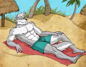Rating: Safe Score: 0 Tags: abs anthro arm_support armpit_hair beach biped black_nose body_hair bottomwear canid canine canis claws clothed clothing detailed_background e621 fur grey_body grey_fur grey_hair grin hair lying male mammal multicolored_body multicolored_fur muscular muscular_anthro muscular_male navel nipples on_back on_towel outside pecs pubes rthur seaside short_hair shorts silver_wolfuzz sky smile solo swimming_trunks swimwear tail toony topless towel two_tone_body two_tone_fur white_body white_fur wolf User: bunchy7s