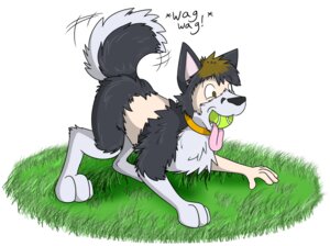 Rating: Safe Score: 0 Tags: all_fours ball brown_eyes brown_hair canid canine canis collar digitigrade domestic_dog e621 english_text feet feral feral_transformation fox0808 grass hair hindpaw holding_ball holding_object human human_to_feral husky hybrid male mammal mouth_hold nordic_sled_dog nude paws plant quadruped simple_background solo species_transformation spitz tail tennis_ball tennis_ball_in_mouth text tongue transformation white_background User: bunchy7s Rating: Safe Score: 0 Tags: all_fours ball brown_eyes brown_hair canid canine canis collar digitigrade domestic_dog e621 english_text feet feral feral_transformation fox0808 grass hair hindpaw holding_ball holding_object human human_to_feral husky hybrid male mammal mouth_hold nordic_sled_dog nude paws plant quadruped simple_background solo species_transformation spitz tail tennis_ball tennis_ball_in_mouth text tongue transformation white_background User: bunchy7s