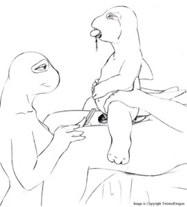 Rating: Explicit Score: 0 Tags: abuse age_difference anthro aquatic bad_parenting black_and_white bodily_fluids cetacean child crying dolphin dominant e621 erection family father_(lore) female forced genitals group group_sex incest_(lore) larger_dom larger_female larger_male male male/male male_penetrated male_penetrating male_penetrating_male mammal monochrome mother_(lore) nude oceanic_dolphin older_male oral oral_penetration orca parent_(lore) penetration penis rape ruler sex simple_background size_difference smaller_male smaller_penetrated soap tears threesome toothed_whale trio twisteddragon white_background young young_anthro younger_male younger_penetrated User: bunchy7s Rating: Explicit Score: 0 Tags: abuse age_difference anthro aquatic bad_parenting black_and_white bodily_fluids cetacean child crying dolphin dominant e621 erection family father_(lore) female forced genitals group group_sex incest_(lore) larger_dom larger_female larger_male male male/male male_penetrated male_penetrating male_penetrating_male mammal monochrome mother_(lore) nude oceanic_dolphin older_male oral oral_penetration orca parent_(lore) penetration penis rape ruler sex simple_background size_difference smaller_male smaller_penetrated soap tears threesome toothed_whale trio twisteddragon white_background young young_anthro younger_male younger_penetrated User: bunchy7s