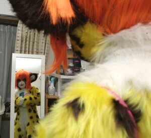 Rating: Questionable Score: 0 Tags: anthro biped bra clothing cosplay costume e621 felid female fursuit grandfathered_content hair leopard mammal mask mirror orange_hair pantherine photography_(artwork) real reflection solo standing tetetor-oort tirol underwear User: bunchy7s Rating: Questionable Score: 0 Tags: anthro biped bra clothing cosplay costume e621 felid female fursuit grandfathered_content hair leopard mammal mask mirror orange_hair pantherine photography_(artwork) real reflection solo standing tetetor-oort tirol underwear User: bunchy7s